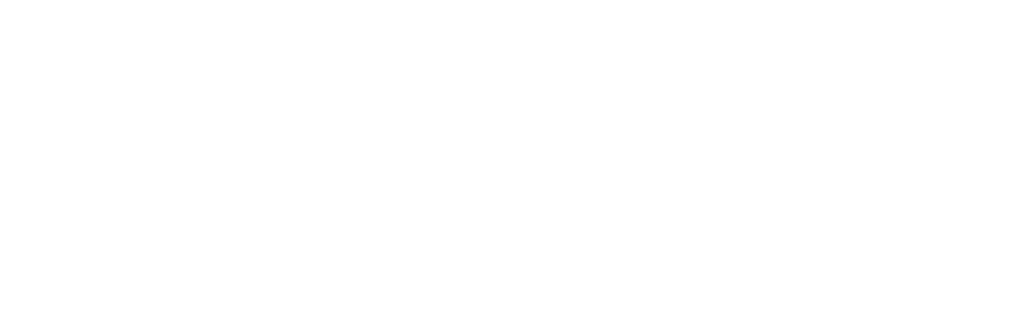 LCorp IT